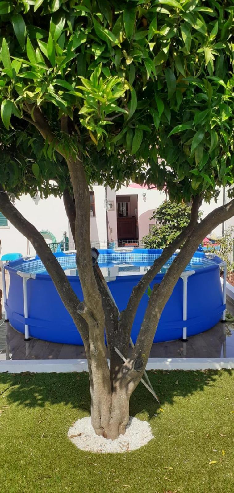 Cantinho Dos Moinhos Montemor-o-Velho Buitenkant foto